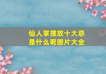 仙人掌摆放十大忌是什么呢图片大全