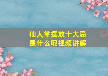 仙人掌摆放十大忌是什么呢视频讲解