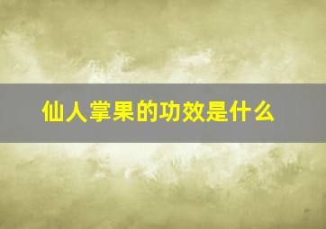 仙人掌果的功效是什么