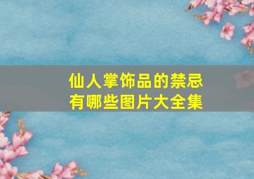 仙人掌饰品的禁忌有哪些图片大全集