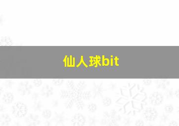 仙人球bit