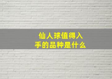 仙人球值得入手的品种是什么