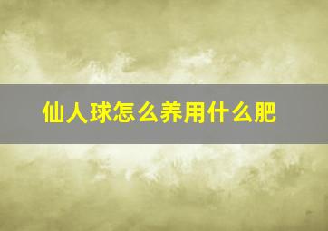 仙人球怎么养用什么肥