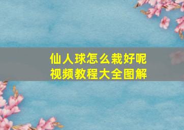 仙人球怎么栽好呢视频教程大全图解