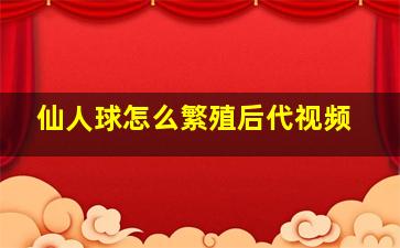 仙人球怎么繁殖后代视频