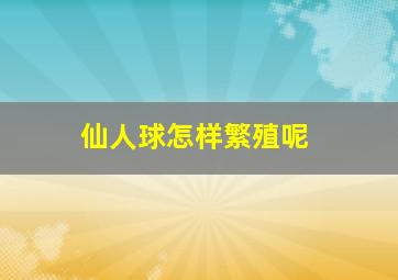 仙人球怎样繁殖呢