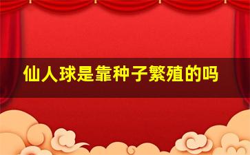 仙人球是靠种子繁殖的吗