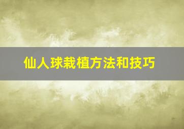 仙人球栽植方法和技巧