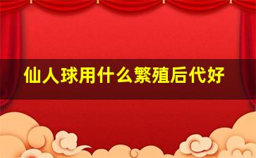 仙人球用什么繁殖后代好