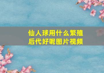 仙人球用什么繁殖后代好呢图片视频