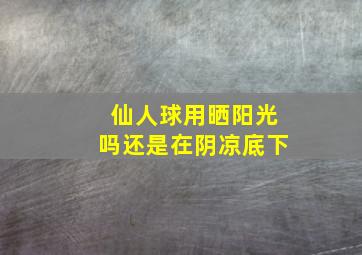 仙人球用晒阳光吗还是在阴凉底下