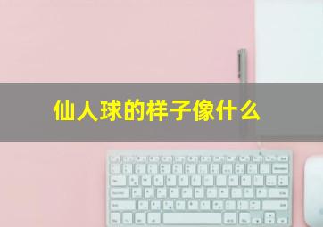 仙人球的样子像什么