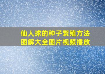 仙人球的种子繁殖方法图解大全图片视频播放