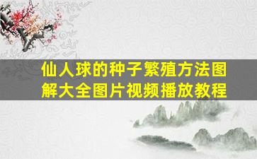 仙人球的种子繁殖方法图解大全图片视频播放教程