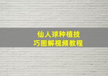 仙人球种植技巧图解视频教程