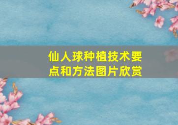 仙人球种植技术要点和方法图片欣赏