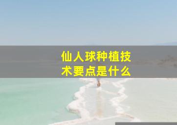 仙人球种植技术要点是什么