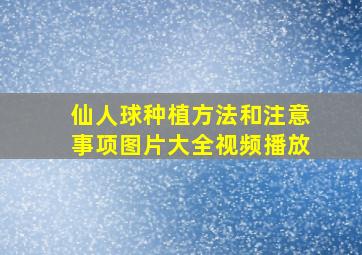 仙人球种植方法和注意事项图片大全视频播放