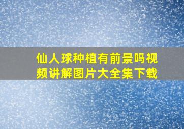 仙人球种植有前景吗视频讲解图片大全集下载