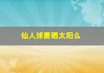 仙人球要晒太阳么