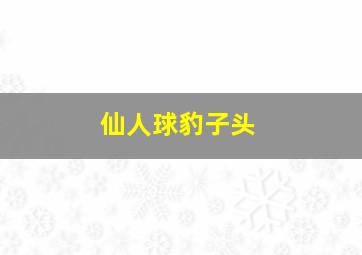 仙人球豹子头