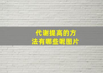 代谢提高的方法有哪些呢图片