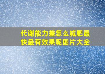 代谢能力差怎么减肥最快最有效果呢图片大全