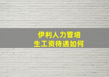 伊利人力管培生工资待遇如何