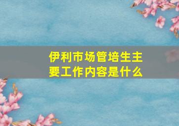 伊利市场管培生主要工作内容是什么