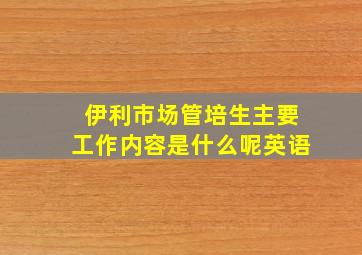 伊利市场管培生主要工作内容是什么呢英语