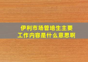 伊利市场管培生主要工作内容是什么意思啊