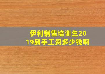 伊利销售培训生2019到手工资多少钱啊