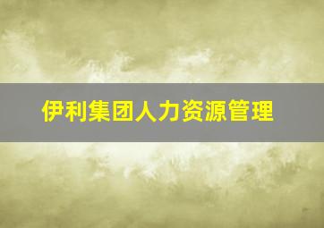 伊利集团人力资源管理