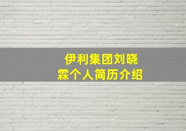 伊利集团刘晓霖个人简历介绍