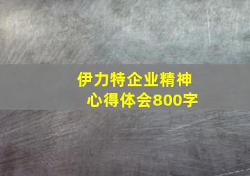 伊力特企业精神心得体会800字