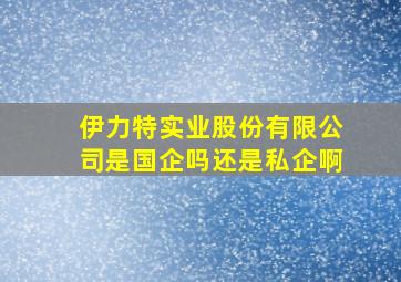 伊力特实业股份有限公司是国企吗还是私企啊