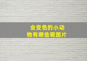 会变色的小动物有哪些呢图片