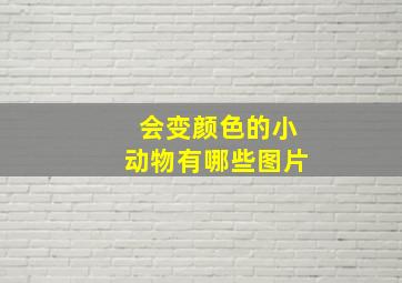 会变颜色的小动物有哪些图片