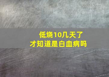 低烧10几天了才知道是白血病吗