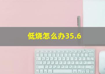 低烧怎么办35.6