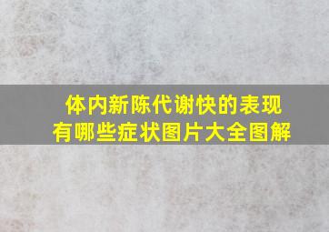 体内新陈代谢快的表现有哪些症状图片大全图解