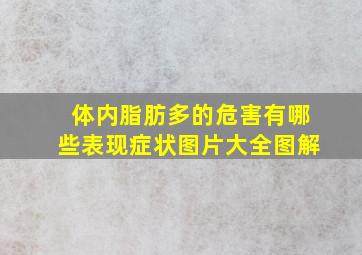 体内脂肪多的危害有哪些表现症状图片大全图解