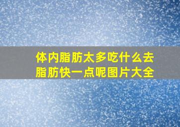 体内脂肪太多吃什么去脂肪快一点呢图片大全