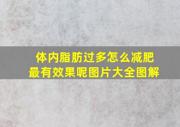 体内脂肪过多怎么减肥最有效果呢图片大全图解