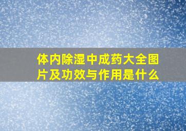 体内除湿中成药大全图片及功效与作用是什么