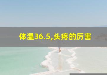 体温36.5,头疼的厉害