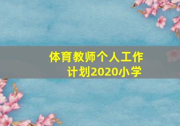 体育教师个人工作计划2020小学