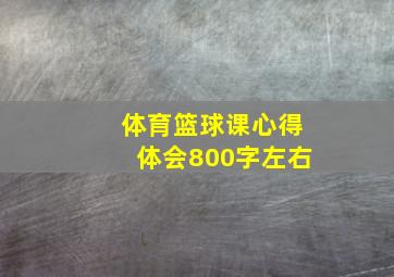 体育篮球课心得体会800字左右