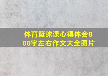 体育篮球课心得体会800字左右作文大全图片