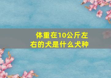 体重在10公斤左右的犬是什么犬种